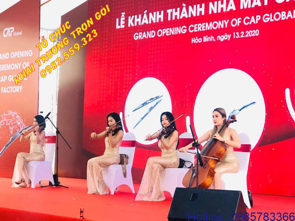 Biểu diễn đàn nghệ thuật